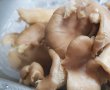 Ciorba de caprior cu ciuperci pleurotus si iaurt grecesc-4