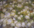 Ciorba cu legume de vara-1