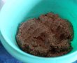 Desert tort raw-vegan cu ciocolata noir si fructe de padure-5