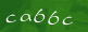 capcha