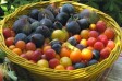 Dieta de toamna cu fructe si legume