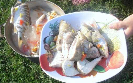 Retete Culinare - Ciorba de peste lipoveneasca