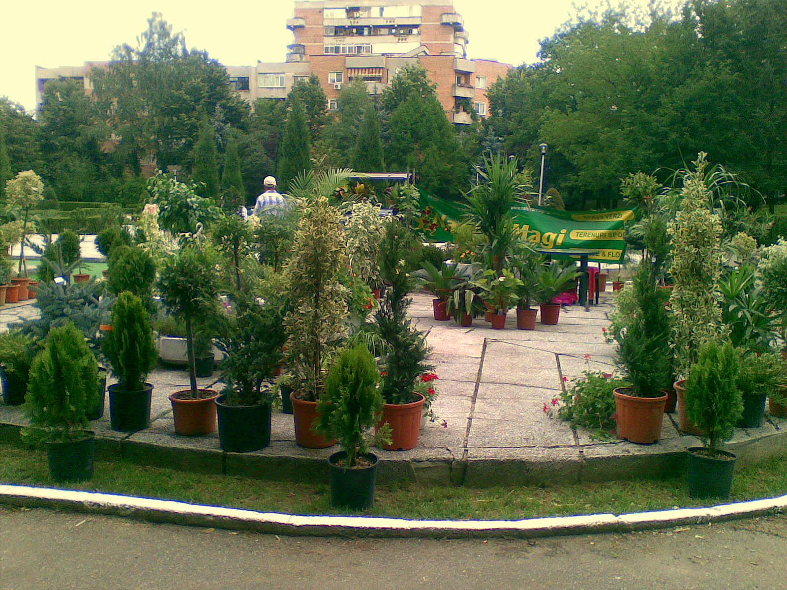 Parcul Zavoi din Ramnicul Valcea