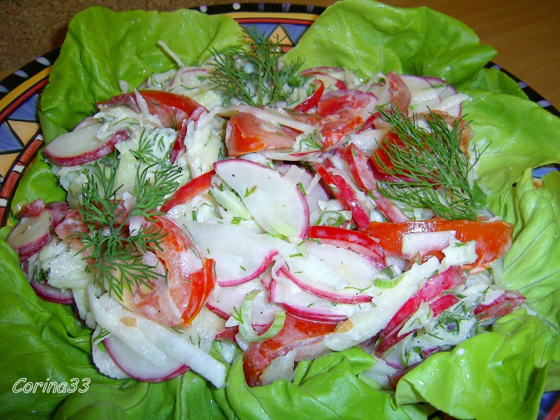 Salata colorata