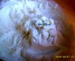 Tort merengue cu crema de lamaie-0