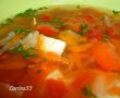 Supa de pui cu legume-4