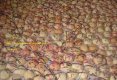 retete culinare - Fursecuri 12324