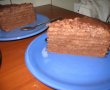 Tort de ciocolata cu visine-4