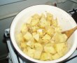 Mancarica de cartofi condimentata-0