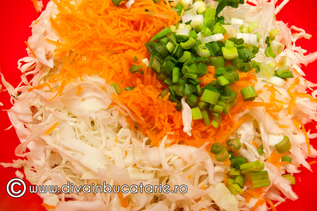 Salata de varza alba cu morcov