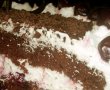 Tort "Padurea Neagra"-7