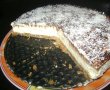 Coconut cheesecake-5