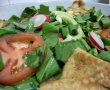 Salata de leurda (2) cu paine araba-1