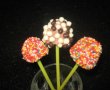 Lollipops a la Aziz(inghetata de ciocolata)-3