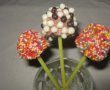 Lollipops a la Aziz(inghetata de ciocolata)-4