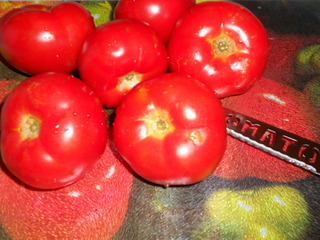 Pastrav pe pat de rosii in sos tomat