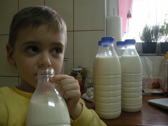 Bucataras reportaj la ferma de  lapte