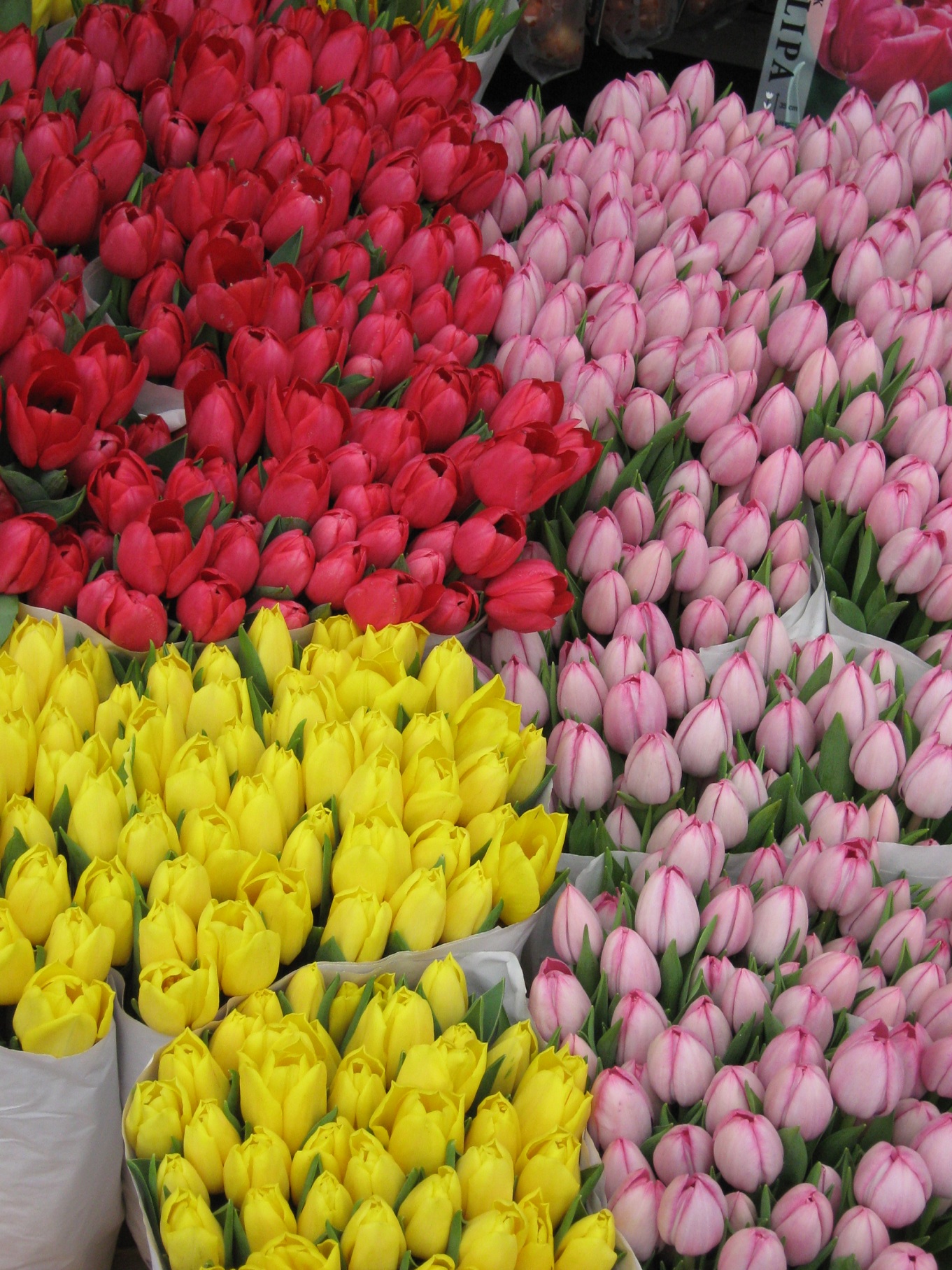 Simfonia  florilor-Piata plutitoare de flori Amsterdam