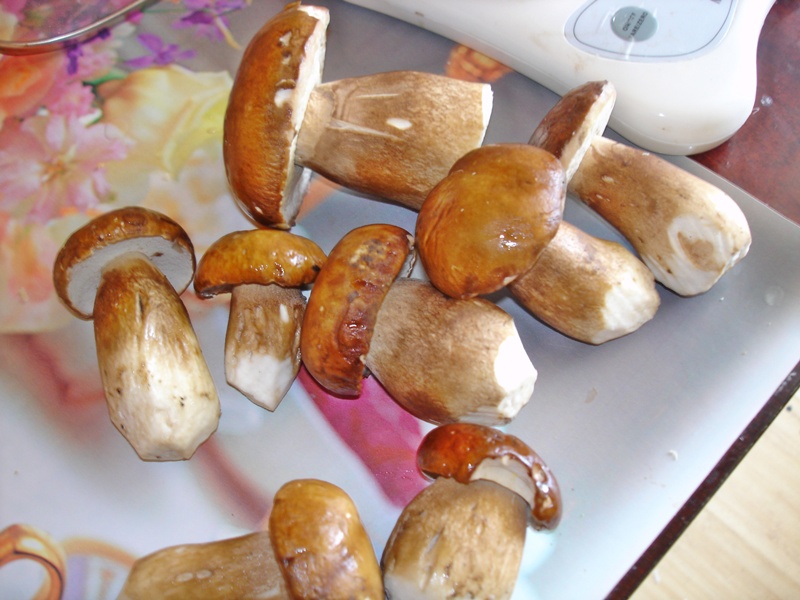 Ciuperci de padure cu usturoi