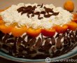 Tort cu ciocolata si mousse de caise-2