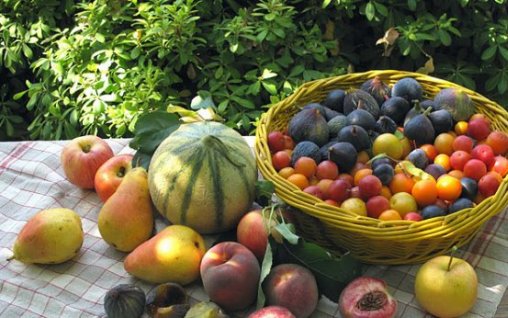 Dieta de toamna cu fructe si legume