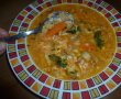 Supa cu zdrente (sau reconditionata)-1