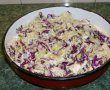 Salata de varza pentru iarna (reteta Motan)-0