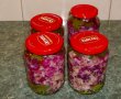 Salata de varza pentru iarna (reteta Motan)-5