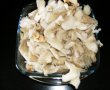 Bucatele de pui cu ciuperci pleutorus-1