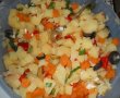 Salata colorata-3