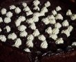 Tort Jofrre de ciocolata-14