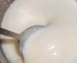 Painica cu iaurt si goji-0