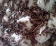 Tort Cataif cu ciocolata si fulgi de cocos-4