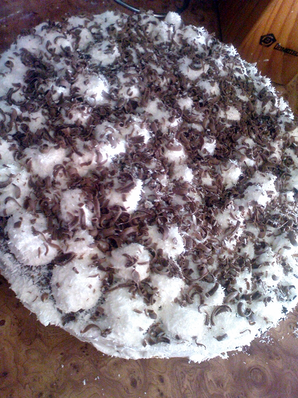 Tort Cataif cu ciocolata si fulgi de cocos
