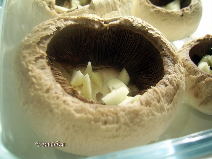 Ciuperci boieresti