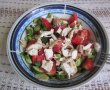 Salata Panacris-2