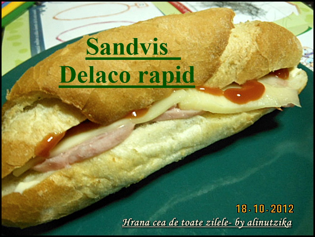 Sandvis Delaco rapid