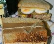 Sandwich cu ton-1