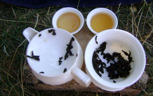 Lumea ceaiului- Istoria întunecată din ceașca de ceai