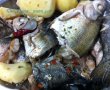 Ciorbă de peşte din caras, plătică şi păstrăv în stil pescăresc-5