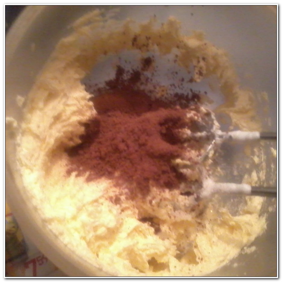 Prajitura cu crema de ciocolata si rom
