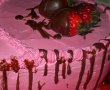 Tort Valentine's Day-8