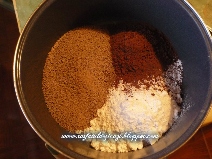 Mix pentru ciocolata calda (pudra, home made)