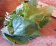 Salată de spanac, leurdă și frunze de ridichi-1
