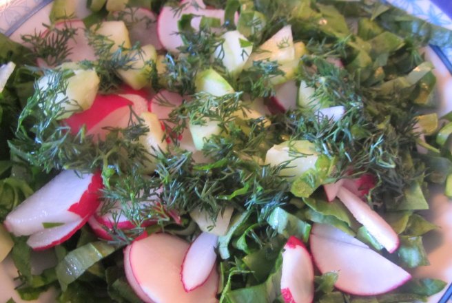 Salată de spanac, leurdă și frunze de ridichi