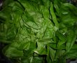 Sarmalute vegetariene in frunze de salata-3