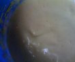 Prajitura cu crema de castane-1