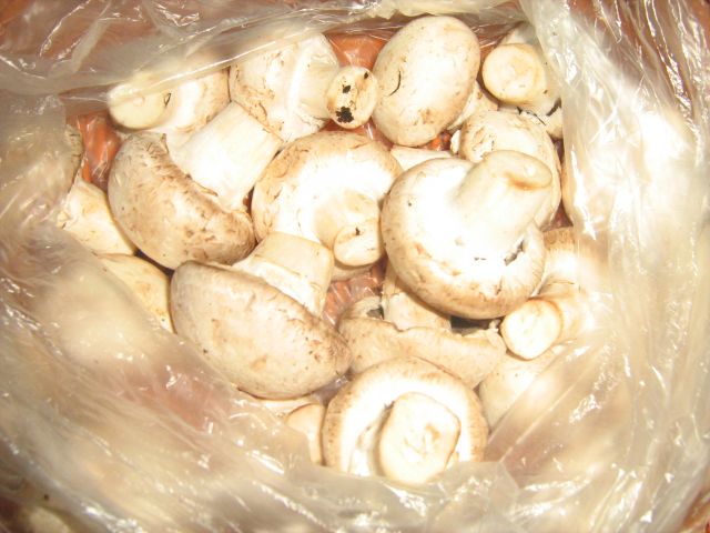 Ciupercute cu cascaval