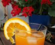 Cocktail de portocale-3