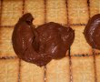 Tort de biscuiti cu crema de capsuni si ciocolata-3